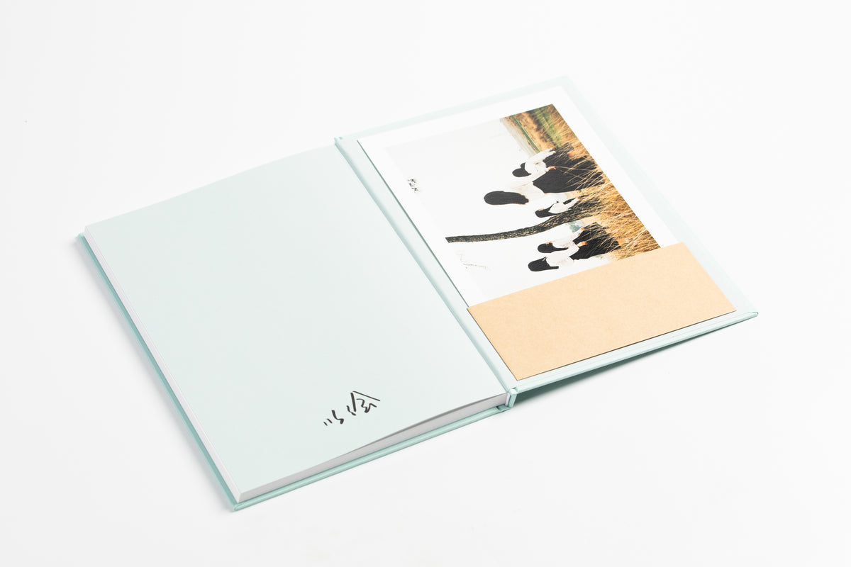 Duoduo | Yi Hui | Special Edition