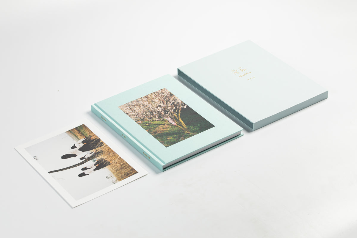 Duoduo | Yi Hui | Special Edition