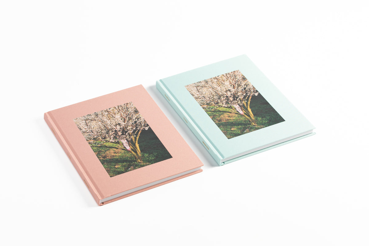 Duoduo | Yi Hui | Special Edition