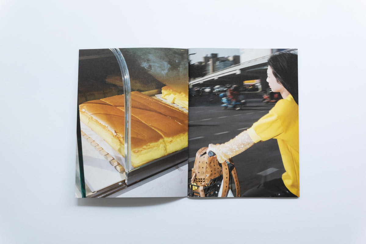 Spark Zine | Wishes II | Ha Mai