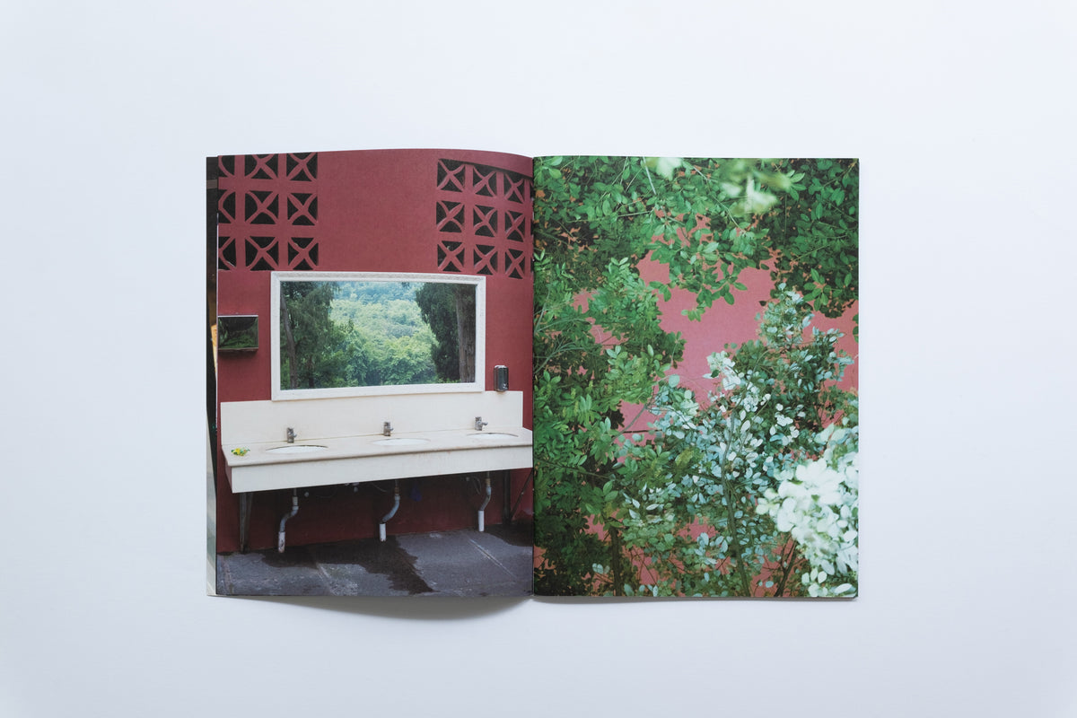 Spark Zine | Wishes II | Ha Mai