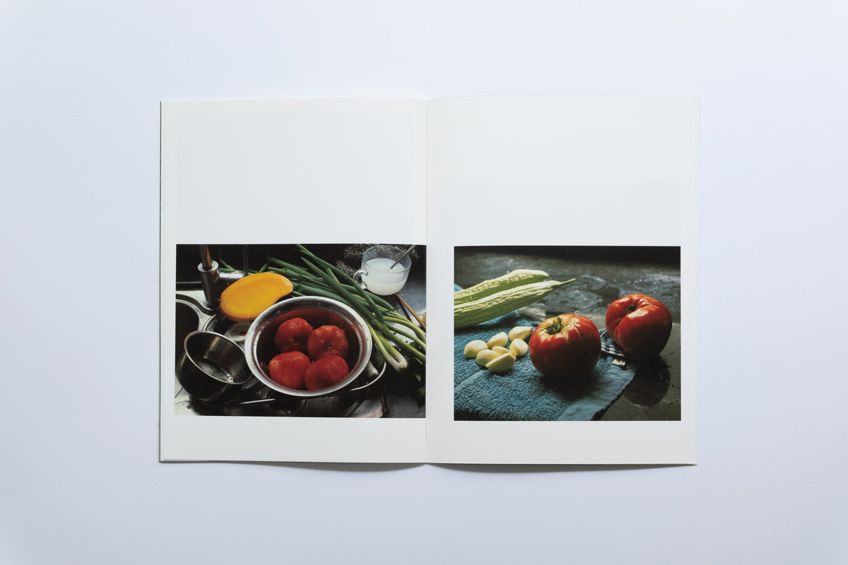 Spark Zine | Gardenia | Gu Liyu