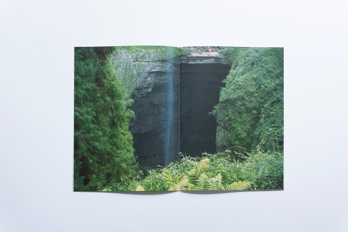 Spark Zine | Gardenia | Gu Liyu