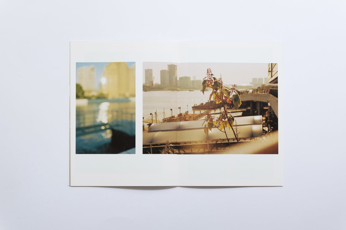 Spark Zine | Walking Back Along the River Bank | Mei Wen