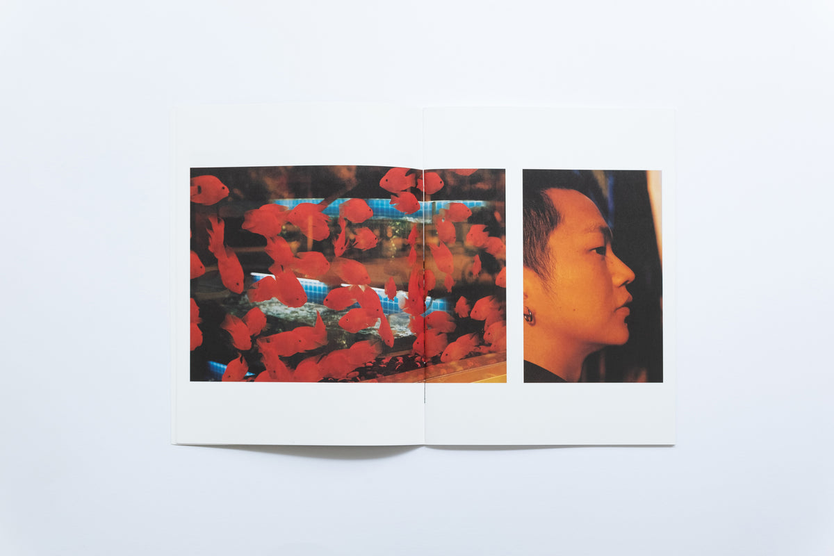 Spark Zine | Walking Back Along the River Bank | Mei Wen