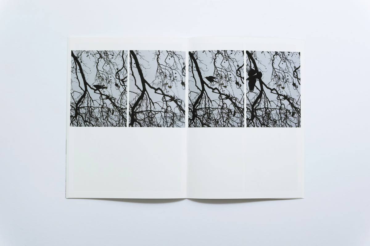 Spark Zine | Silent Zone | Liang Shuang