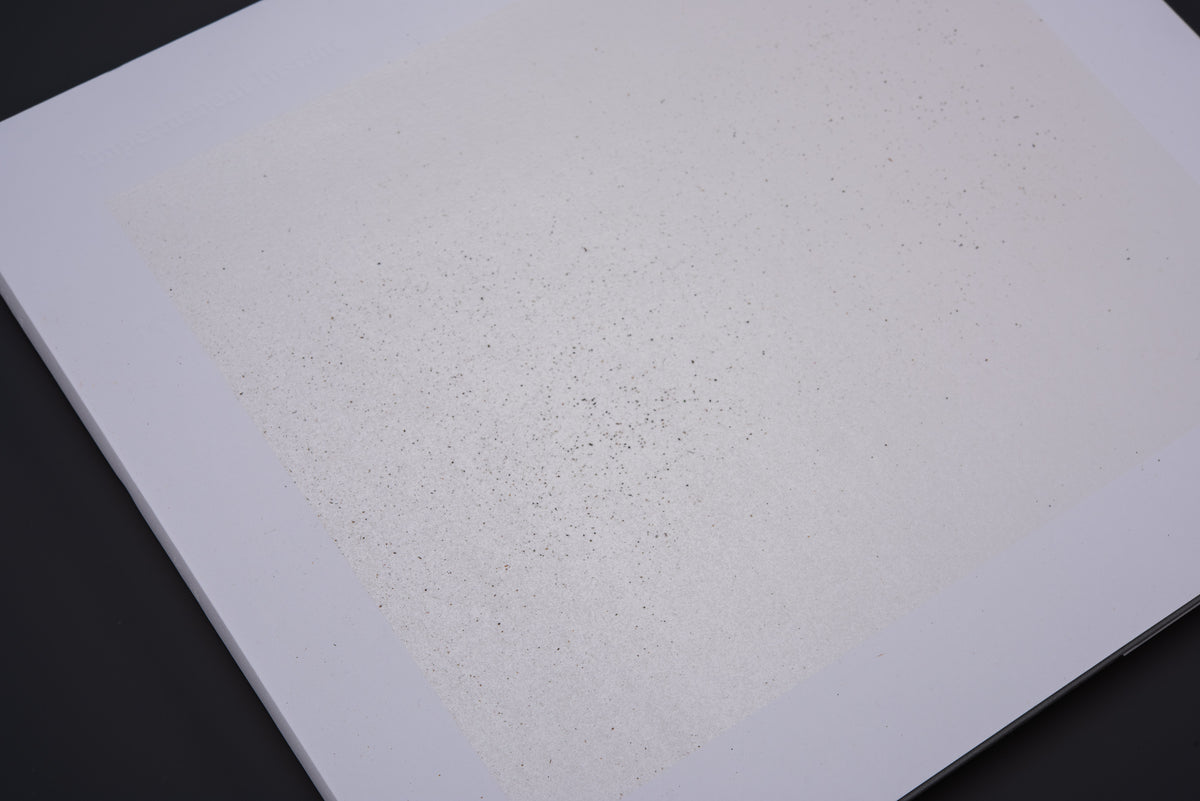 Impermanent Instant | Li Jun | Artist Edition