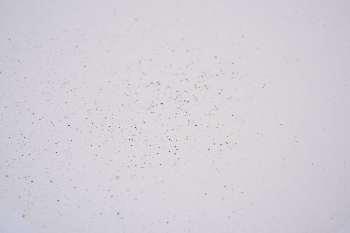 Impermanent Instant | Li Jun | Artist Edition