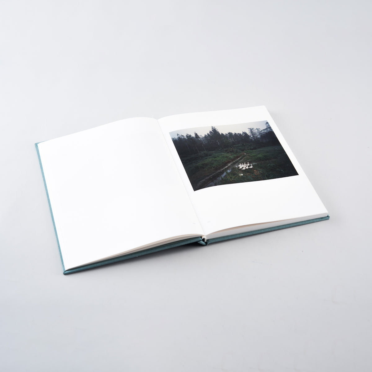 A River Passing Through The Mountains | Shen Qiong