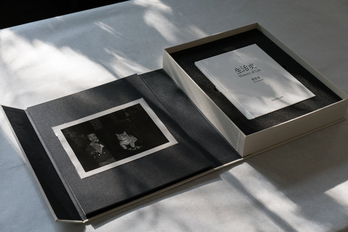 History of Life Special Edition