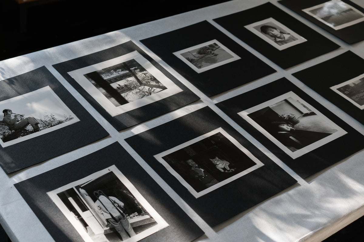 History of Life Special Edition