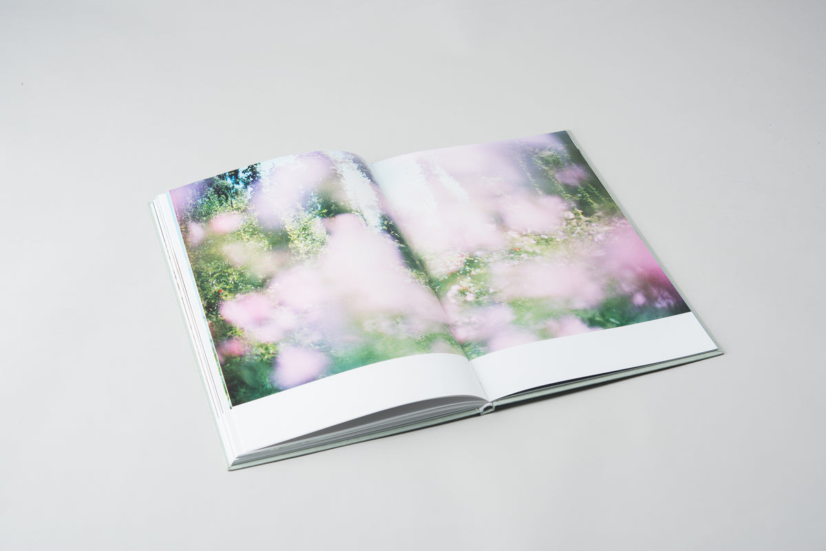 The Land Between Us Sepcial Edition