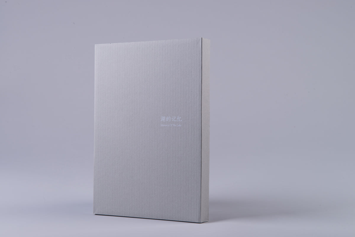 Memory of the Lake | Ni Liang