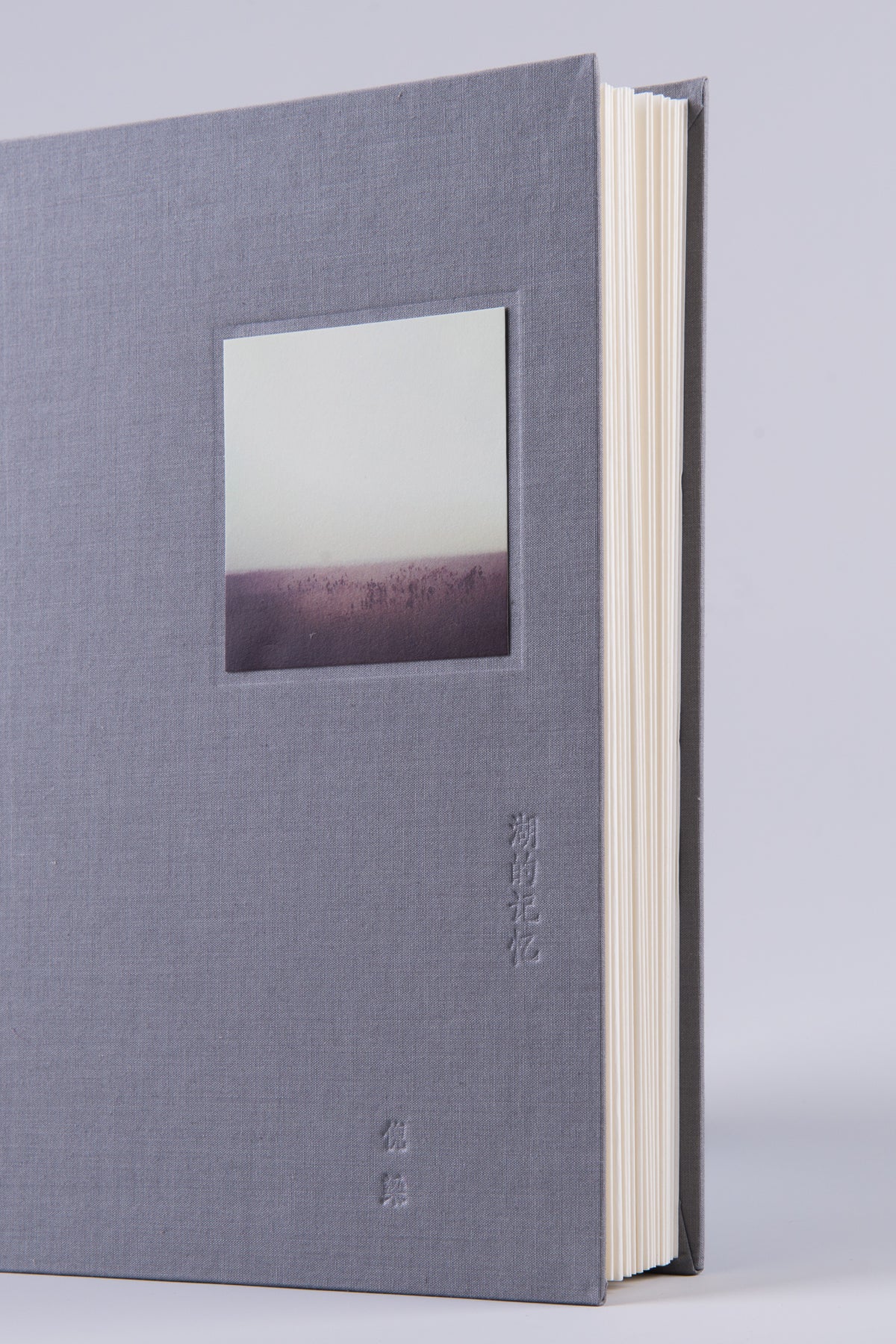 Memory of the Lake | Ni Liang